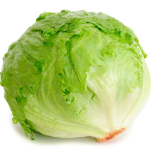 Lettuce Capucci