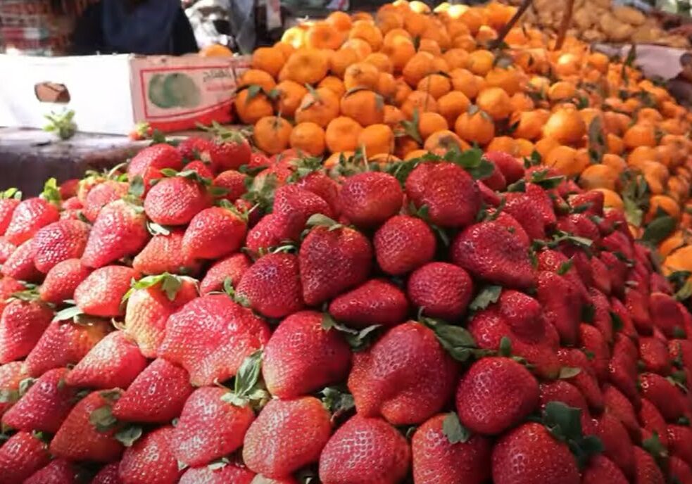 fruits-in-Egypt fruits-in-Egypt